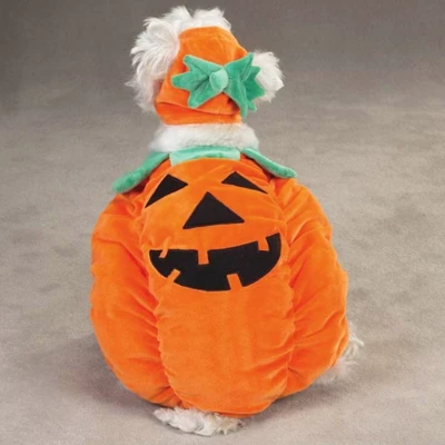 Zack & Zoey Pumpkin Pooch Dog Costume 3 Zack & Zoey Pumpkin Pooch Dog Costume - Image 3