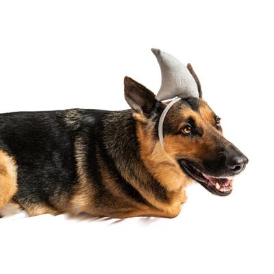 Midlee Shark Dog Headband Costume 2 Midlee Shark Dog Headband Costume - Image 2