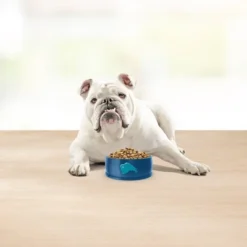 Blue Buffalo Basics Skin & Stomach Care Natural Senior Dry Dog Food With Turkey & Potato Recipe - 4lbs 12 Blue Buffalo Basics Skin & Stomach Care Natural Senior Dry Dog Food With Turkey & Potato Recipe - 4lbs -PawHut Sales Store GUEST 5323b2d3 354f 4a09 8324 0fd0cf62db3d