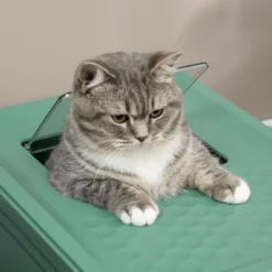 PawHut Hooded Cat Litter Box With Scoop, Enclosed Cat Litter Tray With Front Entry, Top Exit, Portable Pet Toilet With Large Space, Green 8 PawHut Hooded Cat Litter Box With Scoop, Enclosed Cat Litter Tray With Front Entry, Top Exit, Portable Pet Toilet With Large Space, Green -PawHut Sales Store GUEST 55049e1d a94e 4283 97db ab7e72d6398e