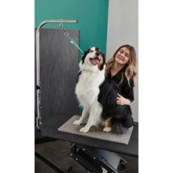 Groomer Essentials Quick Release Loop - Black -PawHut Sales Store GUEST 55473cbd 5ef4 415f ae22 fe3e238cecb0