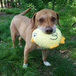 Bite Force Built With Kevlar Tough Plush Chicken Dog Toy 17 Bite Force Built With Kevlar Tough Plush Chicken Dog Toy -PawHut Sales Store GUEST 5703e425 c7e1 44c5 8695 601666cf2daf