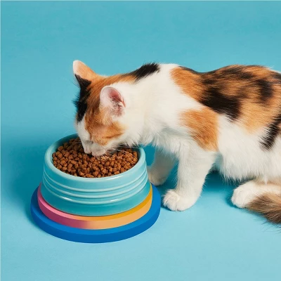 PrettyPlease Indoor Formula With Chicken Dry Cat Food - 5lbs 2 PrettyPlease Indoor Formula With Chicken Dry Cat Food - 5lbs - Image 2