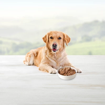 Blue Buffalo Wild Beef, Chicken And Salmon Grill Variety Pack Dry Dog Food - 12.5oz/6ct 3 Blue Buffalo Wild Beef, Chicken And Salmon Grill Variety Pack Dry Dog Food - 12.5oz/6ct - Image 3