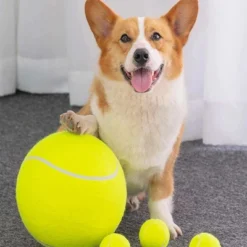Link Tail Lights Pet Tennis Ball - 9.5" - Exercise Training Dog Toy Durable Rubber And Felt Material - Outdoor/Indoor 9 Link Tail Lights Pet Tennis Ball - 9.5" - Exercise Training Dog Toy Durable Rubber And Felt Material - Outdoor/Indoor -PawHut Sales Store GUEST 5856ec1c dc24 422a 9e7d 48acfc378ba5