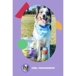 I And Love And You Multipack (Cluckin' Good Stew & Gobble It Up Stew) Chicken/Turkey Wet Dog Food - 13oz/6pk -PawHut Sales Store GUEST 590aba61 b0a4 4687 b2a6 02e691d7fc21