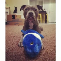 Fluff And Tuff Gil Koi Fish Dog Toy 5 Fluff And Tuff Gil Koi Fish Dog Toy -PawHut Sales Store GUEST 5959c610 ceda 4d04 9190 4b2570f3095c