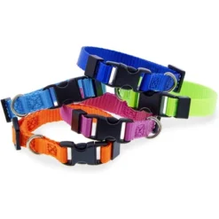 Okuna Outpost 16 Pack Adjustable Snap ID Collars For Dogs And Puppies, 16 Colors (6.5 - 10 In) 6 Okuna Outpost 16 Pack Adjustable Snap ID Collars For Dogs And Puppies, 16 Colors (6.5 - 10 In) -PawHut Sales Store GUEST 59c2a970 c9c0 4d9f b0cb 62be86ff97d8