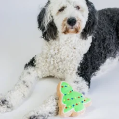 Christmas Sugar Cookie Plush Dog Toy- Christmas Tree… -PawHut Sales Store GUEST 5a0cd35e 3da5 4e0c bda8 bdfa6b6fa942