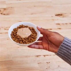 Temptations Creamy Puree With Salmon Lickable Squeezable Adult Cat Treats