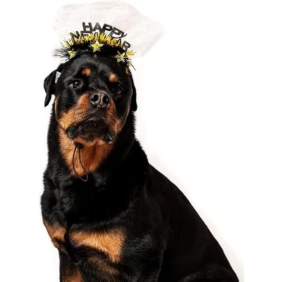 Midlee Happy New Year Dog Headband 1 Midlee Happy New Year Dog Headband