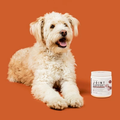 Chew + Heal Hip & Joint Support, Dog Supplement, Increase Pet Mobility & Strength - 120 Delicious Chews 6 Chew + Heal Hip & Joint Support, Dog Supplement, Increase Pet Mobility & Strength - 120 Delicious Chews - Image 6