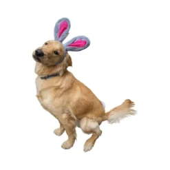 Midlee Easter Bunny Gray & Pink Rabbit Ears For Large Dogs Headband With Tail -PawHut Sales Store GUEST 5b53873e a64b 40ca b4ee 00959d7dcdf0