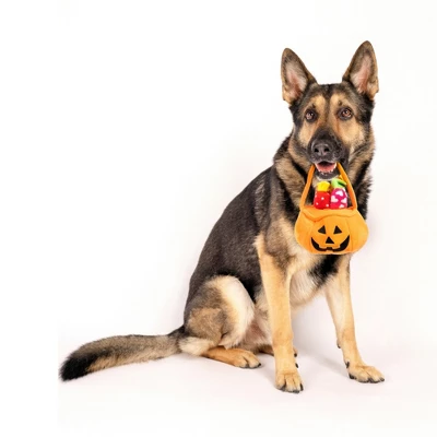 Midlee Find A Toy Halloween Pumpkin Bucket Dog Toy 2 Midlee Find A Toy Halloween Pumpkin Bucket Dog Toy - Image 2