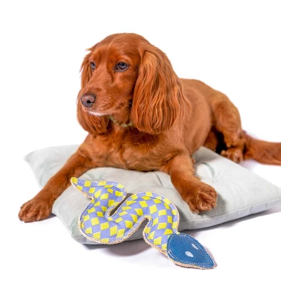 AWOO Canvas Sidewinder Dog Toy - Rust 3 AWOO Canvas Sidewinder Dog Toy - Rust - Image 3