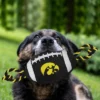 NCAA Iowa Hawkeyes Nylon Football Dog Toy