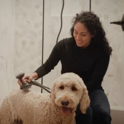 PawSpa PetJetPro 11-Setting Handheld Pet Washer - Gray 28 PawSpa PetJetPro 11-Setting Handheld Pet Washer - Gray -PawHut Sales Store GUEST 5e615830 0dc7 48bb b9ae f6bfbfe3e693