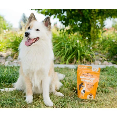 Ready Pet Go Skin & Coat Omega-3 Health Chews, Nourishing Omega-3 Fish Oil For Dogs Skin & Coat And Heart & Joint Support, Fish & Cheese Flavor, 90ct 2 Ready Pet Go Skin & Coat Omega-3 Health Chews, Nourishing Omega-3 Fish Oil For Dogs Skin & Coat And Heart & Joint Support, Fish & Cheese Flavor, 90ct - Image 2