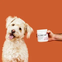 Chew + Heal Allergy Aid With Antioxidants, Dog Supplement, Immune Booster & Seasonal Allergy Relief - 90 Delicious Chews -PawHut Sales Store GUEST 60169ead 36d2 41b6 bcd3 2921c7b2ae72