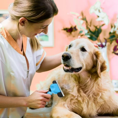 BOSHEL Deshedding Dog Brush – Upgraded Easy Clean Dog Grooming Brush Reduces Shedding Up To 95% - Deshedding Tool For Pets Of Long & Short Hair Pet 7 BOSHEL Deshedding Dog Brush – Upgraded Easy Clean Dog Grooming Brush Reduces Shedding Up To 95% - Deshedding Tool For Pets Of Long & Short Hair Pet - Image 7