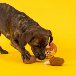 PetShop By Fringe Studio Waffle And Chicken Dog Toys - 3pk -PawHut Sales Store GUEST 60ef6056 e399 4c54 98a3 8ae619d10cde