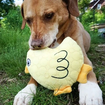 Bite Force Built With Kevlar Tough Plush Chicken Dog Toy 9 Bite Force Built With Kevlar Tough Plush Chicken Dog Toy - Image 9