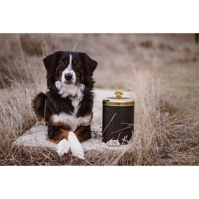 Amici Pet Woofgang Storage Canister, 70 Oz. , Black W/ Gold Lid 2 Amici Pet Woofgang Storage Canister, 70 Oz. , Black W/ Gold Lid - Image 2
