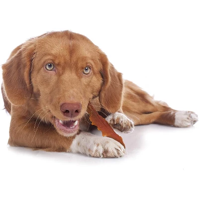 Cadet Chicken Breast Treats, 14 Ounces 2 Cadet Chicken Breast Treats, 14 Ounces - Image 2