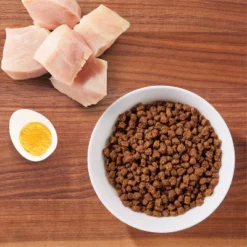 IAMS Proactive Health With Chicken Kitten Premium Dry Cat Food