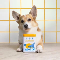 Native Pet Pumpkin Supplement Powder For Dogs - 8oz -PawHut Sales Store GUEST 63cd92cc a110 43d0 9fc2 3ebe9851e7c5