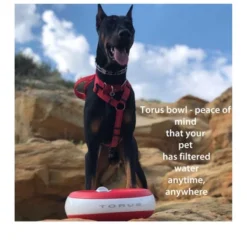 Torus Pet Torus Maxi 2-Liter Automatic Dispenser Cordless Water Bowl -PawHut Sales Store GUEST 662775dd 8d52 4f4a 98c9 6736e14956b2