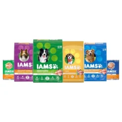 IAMS Proactive Health Lamb & Rice Recipe Adult Premium Dry Dog Food -PawHut Sales Store GUEST 6655712b 6d35 447e abd3 9965fa40fa24