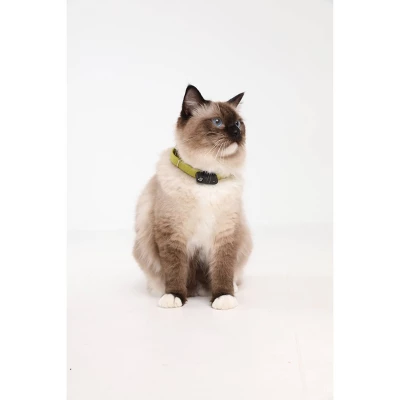 Tickless Natural Flea & Tick Repellent For Cats - Black 1 Tickless Natural Flea & Tick Repellent For Cats - Black