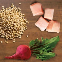 IAMS Advanced Immune Health With Salmon & Chicken Flavor Adult Dry Cat Food - 7lbs -PawHut Sales Store GUEST 66d330df 9ef0 4711 8a8c c92c18635478