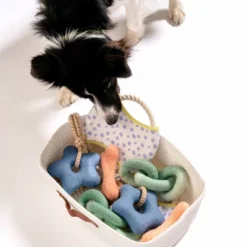 AWOO Comet's Tail Dog Toy -PawHut Sales Store GUEST 67e6d880 7984 4024 8048 2f26a45addca