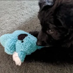 Zanies Cuddly Berber Baby Dog Toy (Bunny, Elephant, Koala, And Lamb)