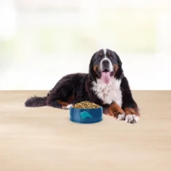 Blue Buffalo Basics Skin & Stomach Care, Grain Free Natural Lamb & Potato Recipe Large Breed Dry Dog Food - 22lbs -PawHut Sales Store GUEST 695dee6e aa44 44b6 82fa ae381fb632aa