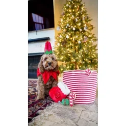 Find A Toy Christmas Stocking Dog Toy 7 Find A Toy Christmas Stocking Dog Toy -PawHut Sales Store GUEST 6b01347b 8ef9 479c 89ae ed443876f9be