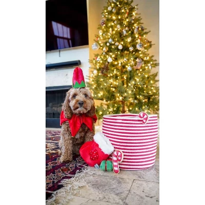 Find A Toy Christmas Stocking Dog Toy 3 Find A Toy Christmas Stocking Dog Toy - Image 3
