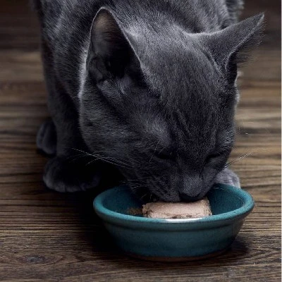 Sheba Kitten Soft Pate Perfect Portions Wet Cat Food With Salmon & Chicken Flavor - 31.7oz/12ct 4 Sheba Kitten Soft Pate Perfect Portions Wet Cat Food With Salmon & Chicken Flavor - 31.7oz/12ct - Image 4