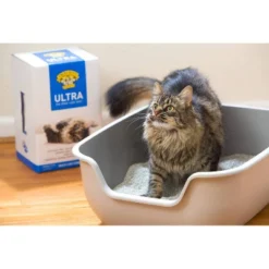 Dr. Elsey's Fragrance Free Ultra Unscented Cat Litter - 35lb -PawHut Sales Store GUEST 6bafa137 1b36 4eb8 9549 24db028feee8