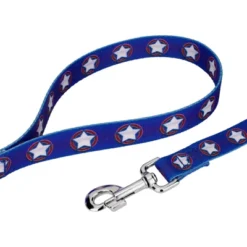 Country Brook Petz Premium American Stars Dog Collar And Leash -PawHut Sales Store GUEST 6d0cd319 40da 49cc bf1b 438d54475e26