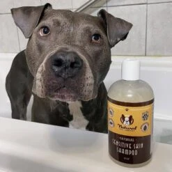 Natural Dog Company Sensitive Skin Shampoo - 12oz 8 Natural Dog Company Sensitive Skin Shampoo - 12oz -PawHut Sales Store GUEST 6d3ea2ed 7c19 4054 becf 40de21f02b6f