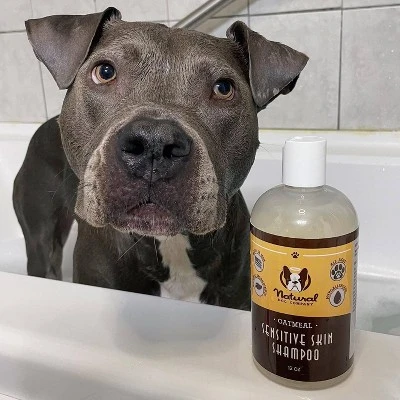 Natural Dog Company Sensitive Skin Shampoo - 12oz 3 Natural Dog Company Sensitive Skin Shampoo - 12oz - Image 3
