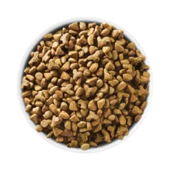 Purina ONE Indoor Advantage Real Salmon Dry Cat Food