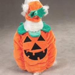 Zack & Zoey Pumpkin Pooch Dog Costume 11 Zack & Zoey Pumpkin Pooch Dog Costume -PawHut Sales Store GUEST 6e532e87 aede 475f 9cfc c3bd6cfe98db