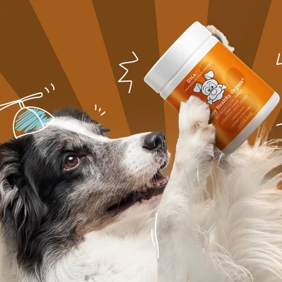 Codeage DNA PET Happy Healthy Organs & Glands Supplement For Dogs, Multi-Organ Powder, Canine Vitamins, 3 Oz 2 Codeage DNA PET Happy Healthy Organs & Glands Supplement For Dogs, Multi-Organ Powder, Canine Vitamins, 3 Oz - Image 2