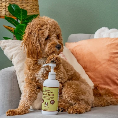 Natural Dog Company Liquid Glucosamine Food Dog Topper - Unflavoured - 32 Fl Oz 3 Natural Dog Company Liquid Glucosamine Food Dog Topper - Unflavoured - 32 Fl Oz - Image 3