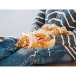 Naturally Fresh Multi-Cat Clumping Litter - 14lbs -PawHut Sales Store GUEST 73871a8a ea21 4c21 a01c 7e3a40b881f5