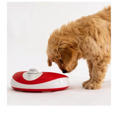 Torus Pet Torus Mini 1-Liter Automatic Dispenser Cordless Water Bowl 4 Torus Pet Torus Mini 1-Liter Automatic Dispenser Cordless Water Bowl - Image 4